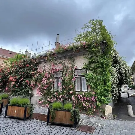 Appartement Downtown Romantic *